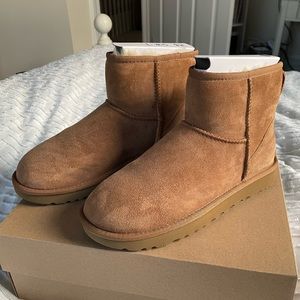 New UGG Women’s Classic Mini II in Chestnut size 7